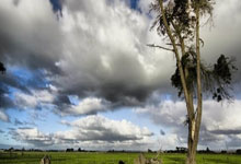 布鲁日为什么被称为北方威尼斯？它有哪些独特魅力？